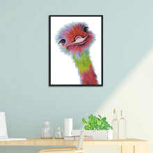 Load image into Gallery viewer, 11CT Cross Stitch | ostrich (36x46cm)