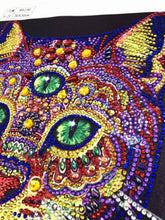Load image into Gallery viewer, Crystal Rhinestone diamond painting kit | three-eyed civet cat