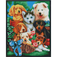 Load image into Gallery viewer, 11CT Full Cross Stitch | dog (36x46cm)
