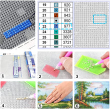 Load image into Gallery viewer, Mystery Diamond Painting | Round Drills / Square Drills