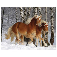 Load image into Gallery viewer, Full Diamond Painting kit | Two horses on the snow