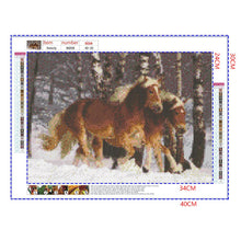 Load image into Gallery viewer, Full Diamond Painting kit | Two horses on the snow