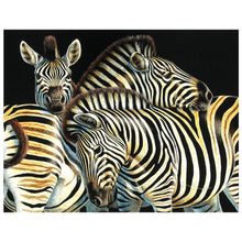 Load image into Gallery viewer, Full Diamond Painting kit | Animal zebra