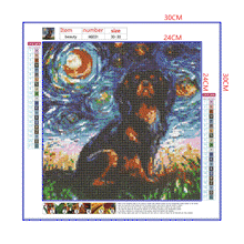 Load image into Gallery viewer, Full Diamond Painting kit | Bernese Mountain Dog under the beautiful starry sky