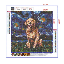 Load image into Gallery viewer, Full Diamond Painting kit | Labrador Retriever under the beautiful starry sky