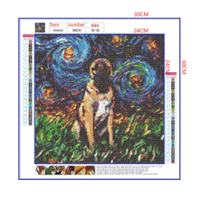 Load image into Gallery viewer, Full Diamond Painting kit | Dog kangal under the beautiful starry sky