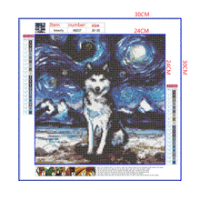 Load image into Gallery viewer, Full Diamond Painting kit | Siberian Husky under the beautiful starry sky