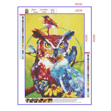 Load image into Gallery viewer, Full Diamond Painting kit | Watercolor owl and bird