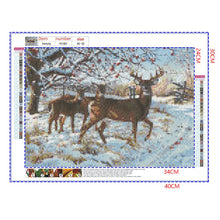 Load image into Gallery viewer, Full Diamond Painting kit | White-tailed Deer family on the snow