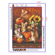 Load image into Gallery viewer, Full Diamond Painting kit | Pumpkins and cats