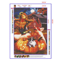 Load image into Gallery viewer, Full Diamond Painting kit | Halloween pig and cat