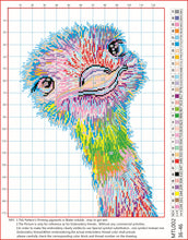 Load image into Gallery viewer, 11CT Cross Stitch | ostrich (36x46cm)