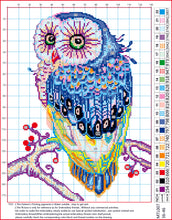 Load image into Gallery viewer, 11CT Cross Stitch | Owl (36x46cm)