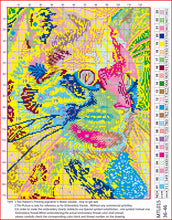 Load image into Gallery viewer, 11CT Full Cross Stitch | Color cat (36x46cm)