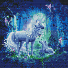Load image into Gallery viewer, 11CT Full Cross Stitch | unicorn (36x36cm)