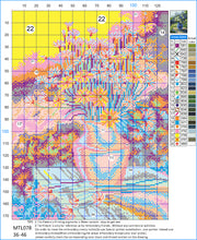 Load image into Gallery viewer, 11CT Full Cross Stitch | Plant flowers (36x36cm)