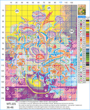 Load image into Gallery viewer, 11CT Full Cross Stitch | Flower arrangement (36x46cm)