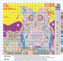Load image into Gallery viewer, 11CT Full Cross Stitch | owl (48x48cm)