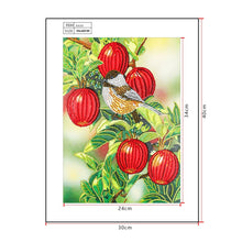 Load image into Gallery viewer, Crystal Rhinestone Diamond Painting Kit | Bird and red fruits