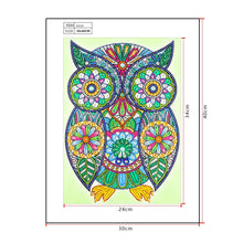 Load image into Gallery viewer, Crystal Rhinestone Diamond Painting Kit | Owl