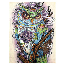 Load image into Gallery viewer, Crystal Rhinestone Diamond Painting Kit | Animal Owl