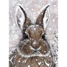 Load image into Gallery viewer, Full Diamond Painting kit | Wild rabbit