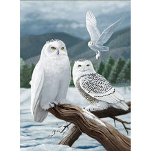 Load image into Gallery viewer, Full Diamond Painting kit | White owl