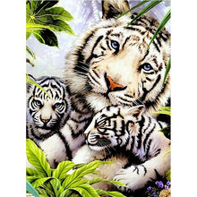 Load image into Gallery viewer, Full Diamond Painting kit | White tiger