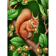 Load image into Gallery viewer, Full Diamond Painting kit | Squirrel