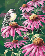Load image into Gallery viewer, DIY Painting by number kit | Flower and bird scenery