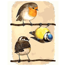Load image into Gallery viewer, DIY Painting by number kit | Three magpies
