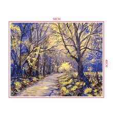 Load image into Gallery viewer, DIY Painting by number kit | Deep mountain road