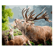 Load image into Gallery viewer, DIY Painting by number kit | Elk