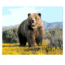 Load image into Gallery viewer, DIY Painting by number kit | Black bear
