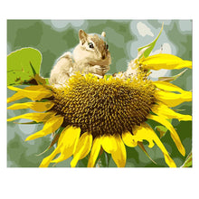 Load image into Gallery viewer, DIY Painting by number kit | Squirrel eating sunflower seeds
