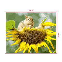 Load image into Gallery viewer, DIY Painting by number kit | Squirrel eating sunflower seeds