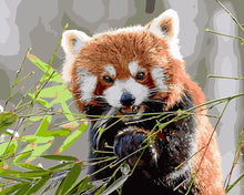 Load image into Gallery viewer, DIY Painting by number kit | Animal Raccoon