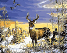 Load image into Gallery viewer, DIY Painting by number kit | Deer on the snow