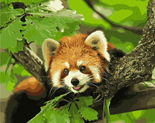 Load image into Gallery viewer, DIY Painting by number kit | Animal raccoon