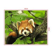 Load image into Gallery viewer, DIY Painting by number kit | Animal raccoon