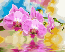 Load image into Gallery viewer, DIY Painting by number kit | Beautiful flower