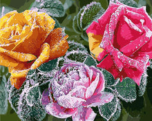 Load image into Gallery viewer, DIY Painting by number kit | Beautiful flowers