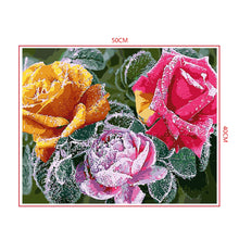 Load image into Gallery viewer, DIY Painting by number kit | Beautiful flowers