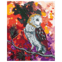 Load image into Gallery viewer, DIY Painting by number kit | Animal owl