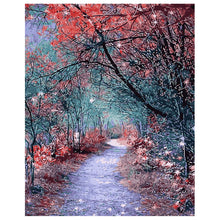 Load image into Gallery viewer, DIY Painting by number kit | Deep mountain road