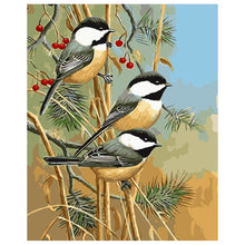 Load image into Gallery viewer, DIY Painting by number kit | Three magpies