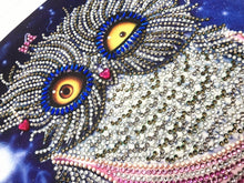 Load image into Gallery viewer, Crystal Rhinestone Diamond Painting Kit | Cartoon Owl