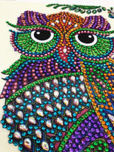 Load image into Gallery viewer, Crystal Rhinestone Diamond Painting Kit | Cartoon Owl
