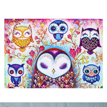 Load image into Gallery viewer, Crystal Rhinestone Diamond Painting Kit | Cartoon Owl (16x20inch)
