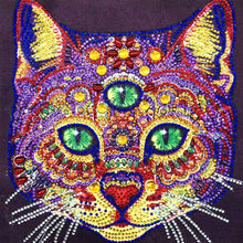Load image into Gallery viewer, Crystal Rhinestone diamond painting kit | three-eyed civet cat

